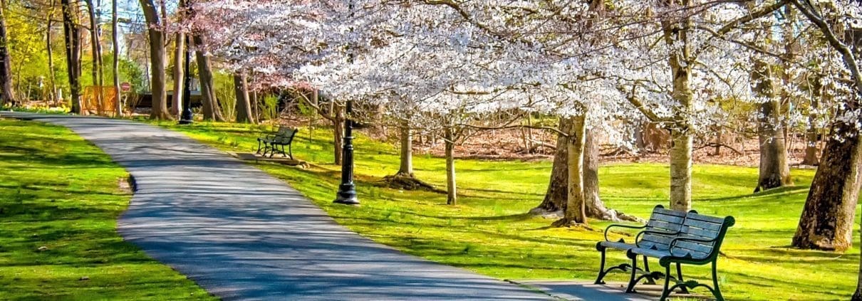 A perfect park bench for some alone time.