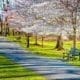 A perfect park bench for some alone time.