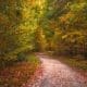 The extrovert ideal represents one path through life, but you can follow your own as an introvert.