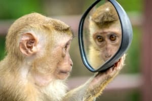 No matter what others might say or think, your introversion isn't a problem.